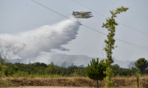 Hercegovina gori: Vjetar razbuktao požar, uključila se i vojska, čeka se međunarodna pomoć