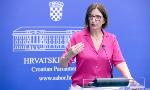 Tko bi trebao platiti sanaciju otpada? Puljak: 'Neka je plate oni koji su odgovorni'