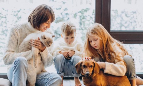 Veterinar upozorava na pogrešku koju mnogi vlasnici naprave na kraju života ljubimca