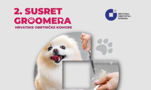 Groomeri iz cijele Hrvatske stižu u Zagreb – Hrvatska prvi put dobiva i državne prvake