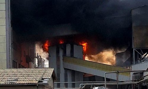 VIDEO/FOTO Drama u Kutini: Buknuo veliki požar u Petrokemiji, gust crni dim vidi se izdaleka