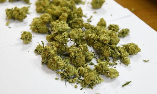 Policija pokraj Dubrovnika pronašla laboratorij i kilogram marihuane
