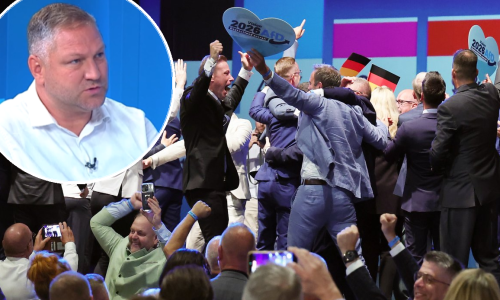 AfD je pronašao formulu za uspjeh: Stručnjak istaknuo jednu posebnost