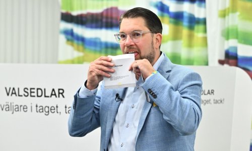 Hoće li stranka neonacističkim korijenima ući u švdesku Vladu?