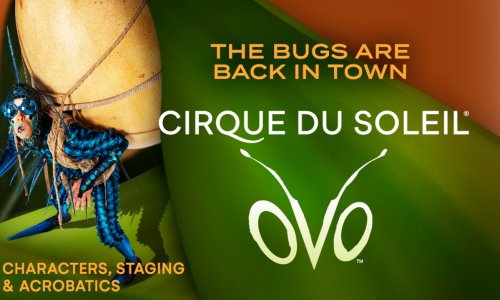 Šarena i energična predstava za sve generacije: OVO - Cirque du Soleil