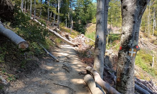 Planirate na Sljeme? Jedna od najpopularnijih staza je zatvorena, evo što se događa