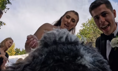 Psu su na vjenčanju stavili GoPro - njegova snimka postala je najbolji video večeri