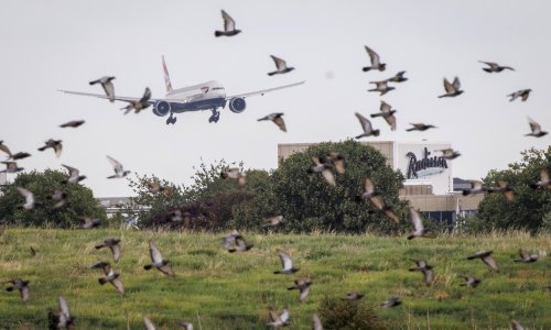 Teške rasprave u Britaniji: Proširiti Heathrow ili ispuniti klimatske ciljeve