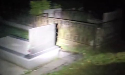 Snimka s hrvatskog groblja ostavlja bez teksta: Između grobova pojavio se potpuno neočekivan 'posjetitelj'