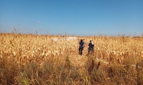 Drama kod Vinkovaca: Srušio se manji zrakoplov, pilot poginuo