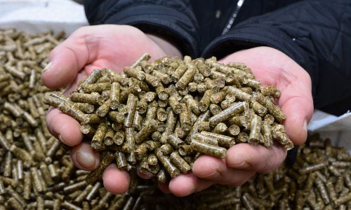 Šok pred sezonu grijanja: Peleti poskupjeli čak 40 posto, a tu nije kraj