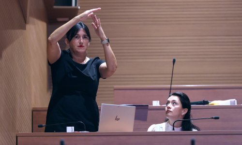 SDP traži bržu zaštitu žrtava u školama, Vlada smatra da je rok od 12 sati prekratak