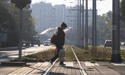 Nema snage za Bajs niti novca za taksi: 'Kucam ljudima na prozore dok su na semaforu'