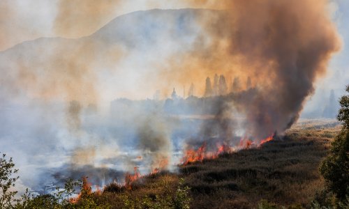Novi požar na jugu Hrvatske: Vatra se brzo širi, gase četiri kanadera
