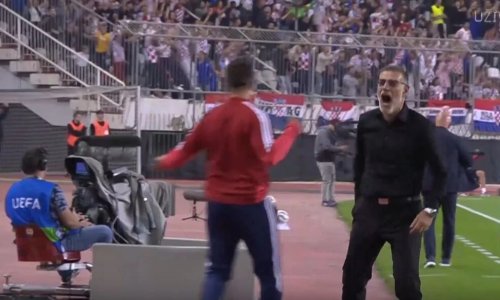 Potpuno ludilo: Pogledajte kako je Bilić reagirao nakon gola Španjolskoj