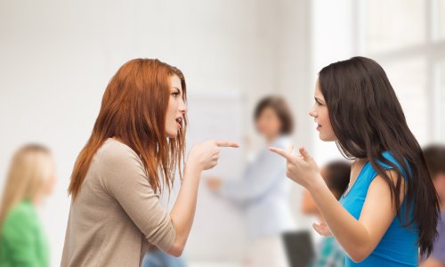 Cimerice joj zaključale televizor, ona im uskratila kuhinjske uređaje: Tko je pretjerao?