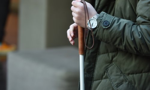 Savez slijepih upozorio na tri problema koja traže sustavno rješenje