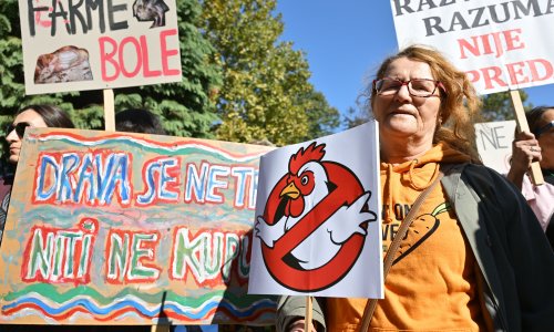 Koprivnica na nogama zbog farme pilića: 'Ne želimo žrtvovati ni metar Hrvatske'