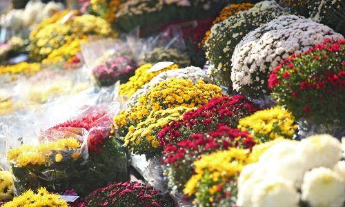 Vlada donijela odluku: Evo koje trgovine smiju raditi na blagdan Svih svetih