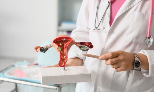 Jajnici nakon menopauze nisu neaktivni, a njihovo starenje nosi skrivene rizike