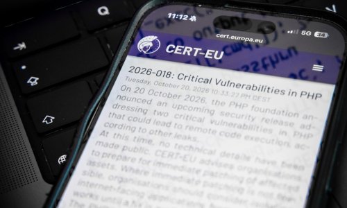 Programski jezik brojnih stranica ima dva velika problema: CERT poziva na hitni popravak