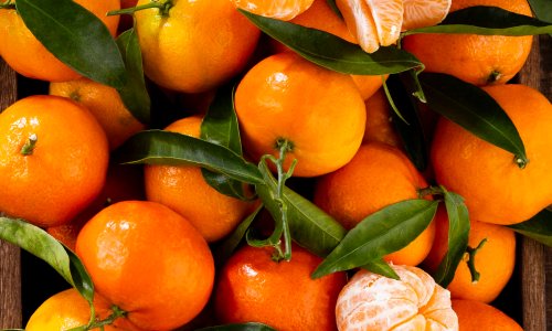 Kako prepoznati najslađe mandarine? Ovaj detalj mnogi zanemaruju pri kupnji