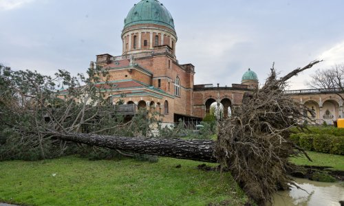 Sjećate se oluje iz ožujka? Evo kada će biti sanirano groblje na Mirogoju