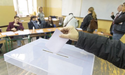 Srbi navalili na birališta od SAD-a do Australije: Neki su putovali i tri tisuće kilometra