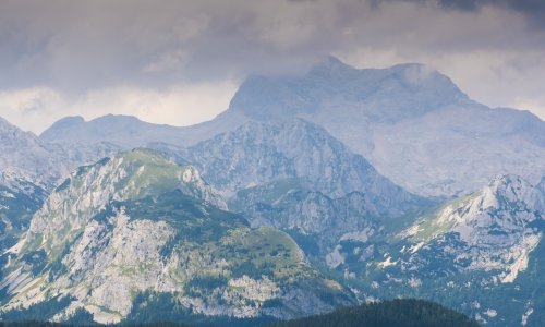 Bio je simbol Slovenije, a sad ga više nema: 'Ovo što se događa je nevjerojatno'