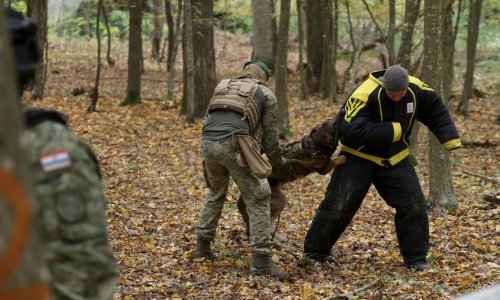 FOTO NATO se okupio u Dugom Selu: Izveli su jednu od vježbi kojom spašavaju živote