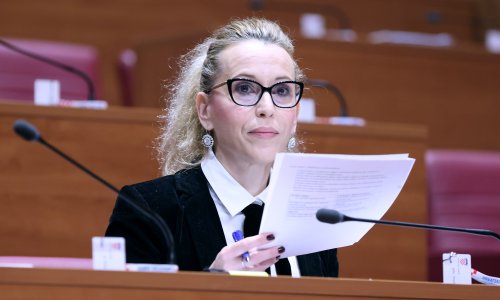 Žestoko u Saboru: Bulj najavio pobunu, HDZ-ovka izmislila novi nadimak za Možemo