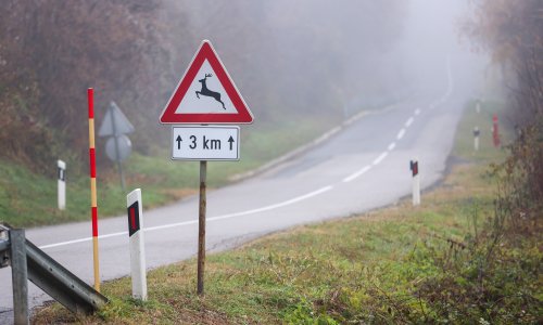 Tko će plaćati štetu od divljači? Stižu nova pravila za lovce, evo što se mijenja