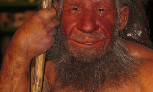 Pronađene lubanje nama dosad nepoznatih predaka