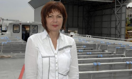 'Brine me što neće biti reformi, a to znači daljnje propadanje'