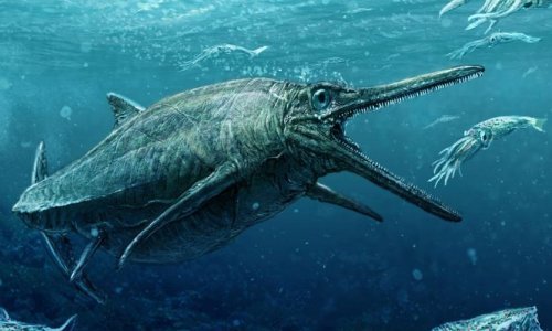 Zaboravite Nessie, ovo je pravo čudovište iz Škotske