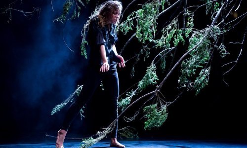 Plesna atrakcija 'Anything' postavljena na tvrđavi Revelin