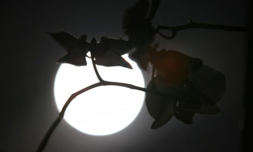 Večeras na nebu potražite Supermjesec