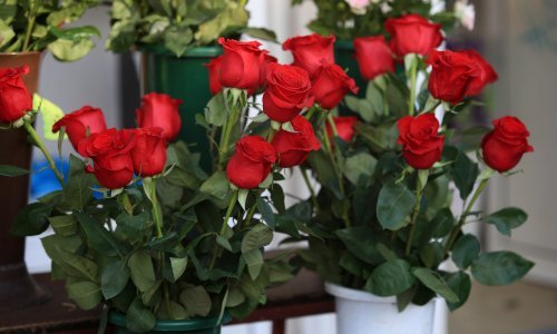 Šibenski antifašisti ženama poručili da nisu same, a moliteljima da mole za gladne