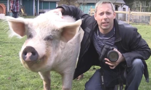 Gnjavite životinje na svoj rizik