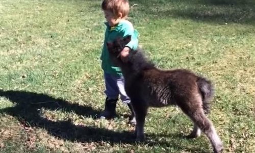 Ovo je razlog zašto djeca obožavaju ponije