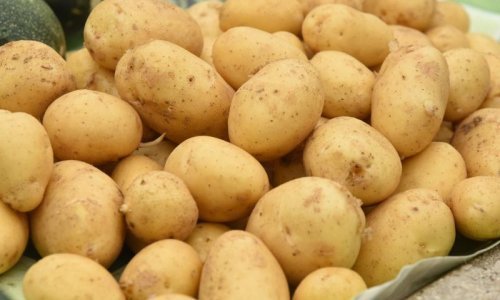 Velik uspjeh Ličana: Zaštitili svoj krumpir u Europskoj uniji