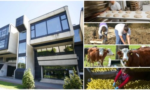 Poljoprivrednici: Ne radujemo se kazni EK, ali neka se konačno netko opameti