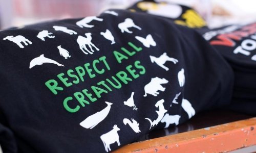 Danska zabranila sodomiju, bori se protiv 'seks-turista'