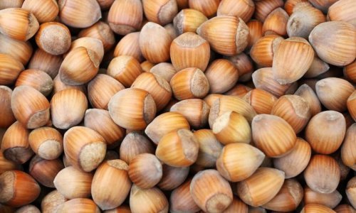 Ferrero u Srbiji kupio još zemlje za sadnju lješnjaka