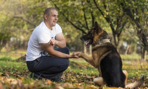 Pas promaknut u detektiva