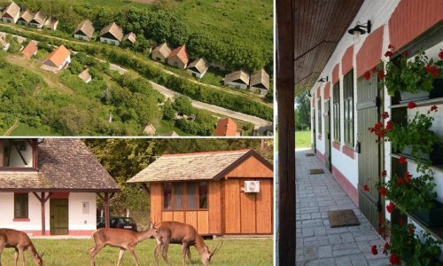 Iz baranjskih pustara odlaze zadnji stanovnici; je li to njihov kraj?