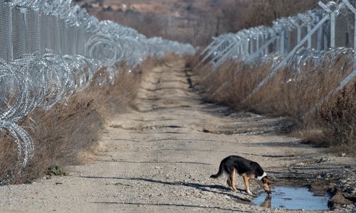 Slovenija uspostavlja pravo služnosti nad privatnim parcelama uz granicu na kojima je žica