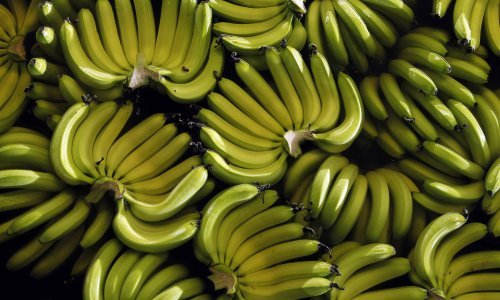 Približava se kraj banana kakve poznajemo?