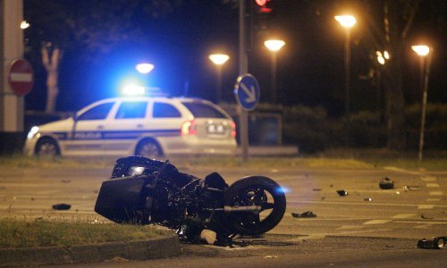 Sudu teško dokazati odgovornost za sudar s rodom na cesti