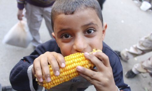 Samo ove godine 1,4 milijuna djece moglo bi umrijeti od gladi